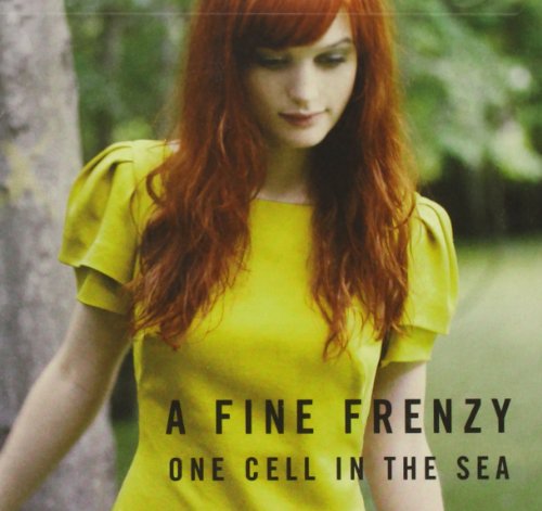 A Fine Frenzy/One Cell in the Sea のCDジャケット