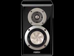 FOSTEX GX100